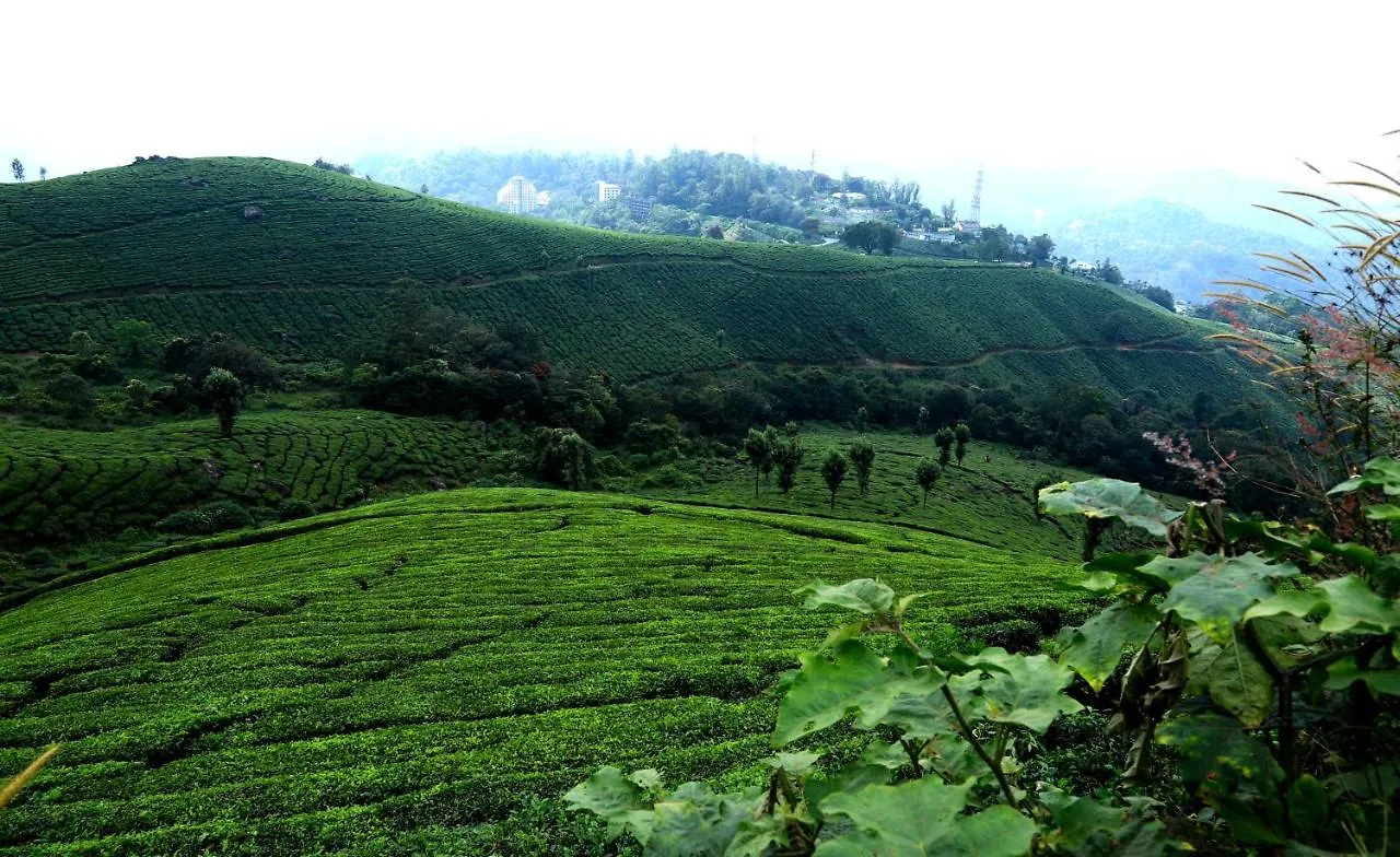 Homestay Johns Solitude Anachal